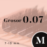 FOXY UP (M/0.07/No.7-No.13)
