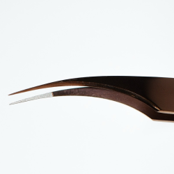 PINZA DELFIN (ORO ROSA)