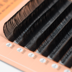 EASY PICK (D+/0.07/No.12)