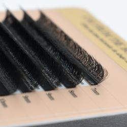 FLAT 3D (D+/0.04/No.11)