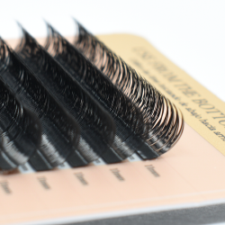 YY LASH (D/0.04/No.14-No.15)