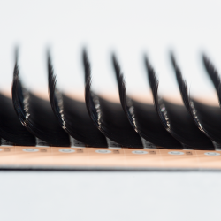 SMART VOLUME (C/0.07/No.13)