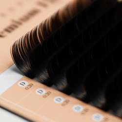 PREMIUM FLAT (D+/0.20/No.09)