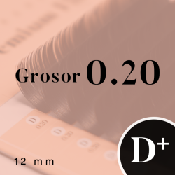 PREMIUM FLAT (D+/0.20/No.12)
