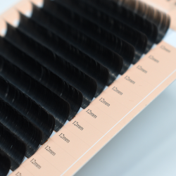 PREMIUM FLAT (D+/0.15/No.12)