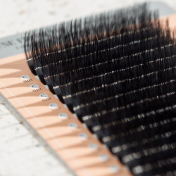 SMART VOLUME (C/0.04/No.13)